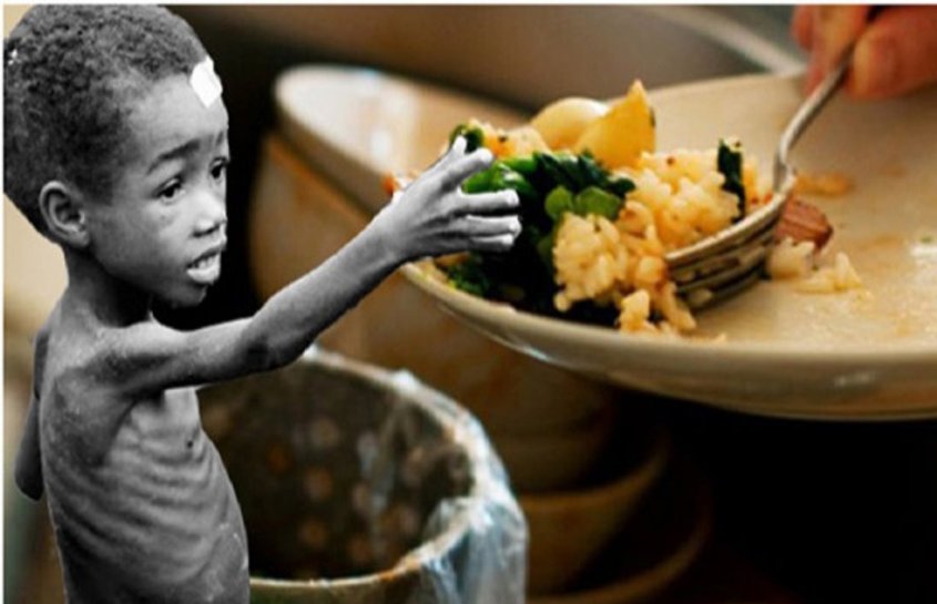 वर्ष 2022 में 78.3 करोड़ लोग रहे भूखे, फिर भी भारत में हर साल होता है आठ करोड़ टन खाना बर्बाद